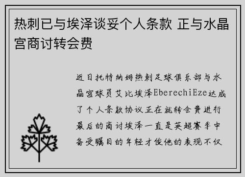 热刺已与埃泽谈妥个人条款 正与水晶宫商讨转会费